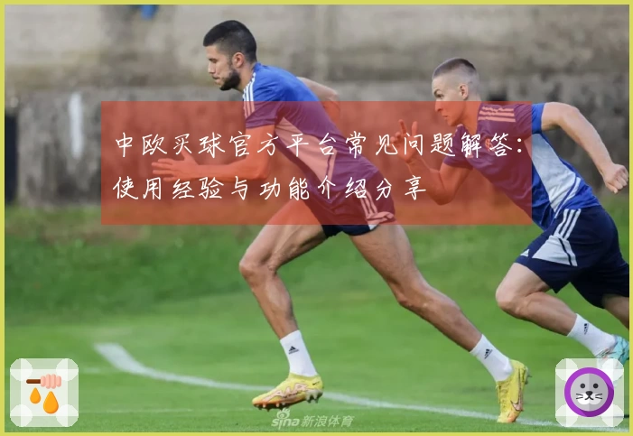 中欧买球官方平台常见问题解答：使用经验与功能介绍分享