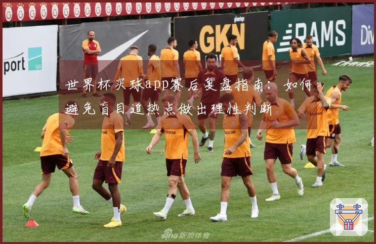 世界杯买球app赛后复盘指南：如何避免盲目追热点做出理性判断