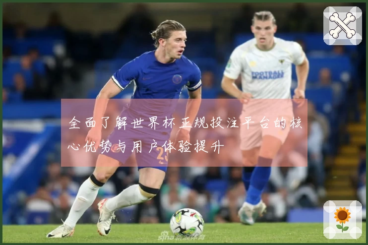 全面了解世界杯正规投注平台的核心优势与用户体验提升