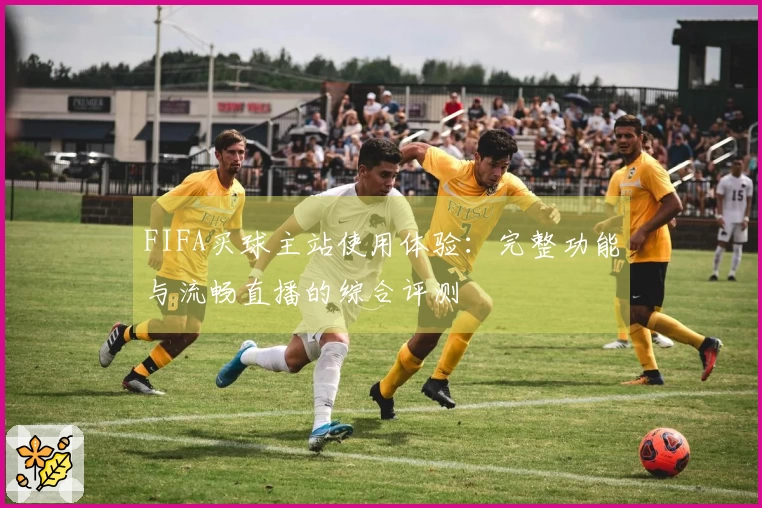 FIFA买球主站使用体验：完整功能与流畅直播的综合评测
