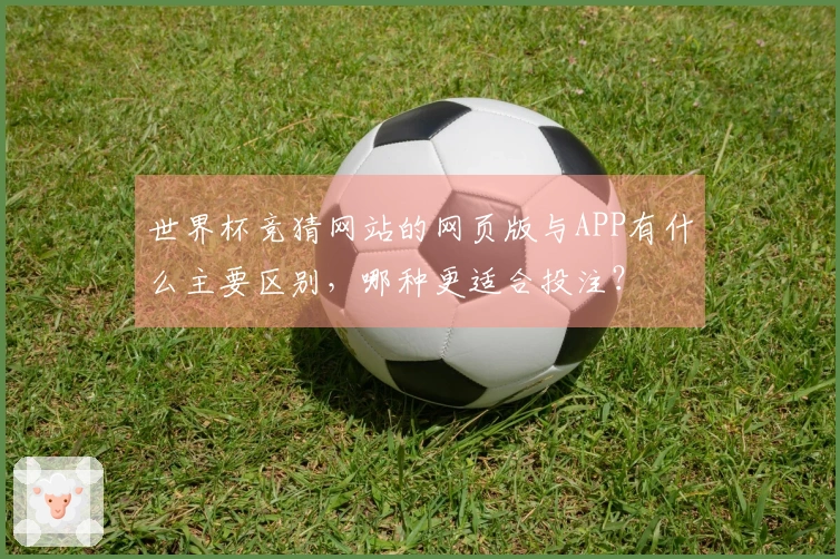 世界杯竞猜网站的网页版与APP有什么主要区别，哪种更适合投注？
