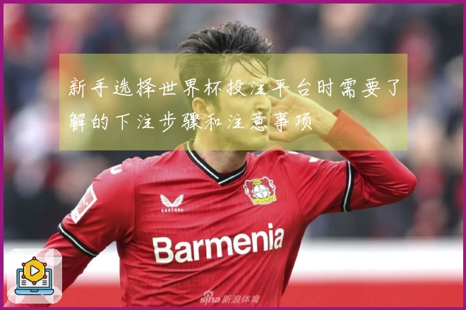 新手选择世界杯投注平台时需要了解的下注步骤和注意事项