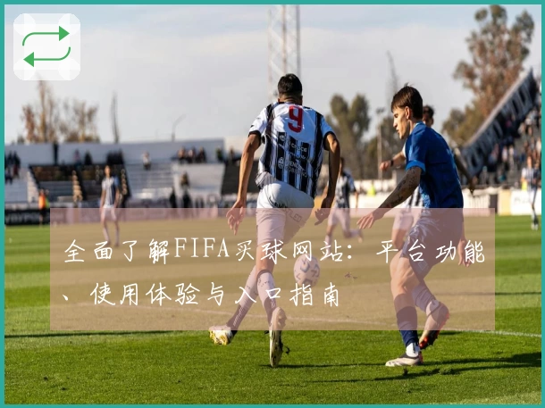 全面了解FIFA买球网站：平台功能、使用体验与入口指南