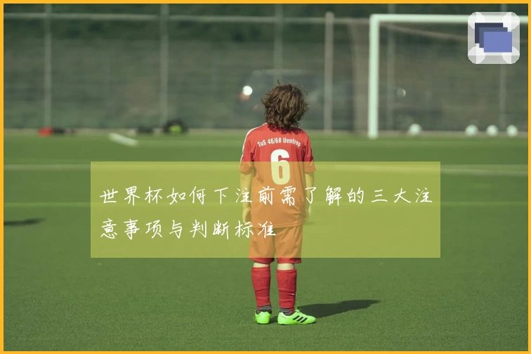 世界杯如何下注前需了解的三大注意事项与判断标准