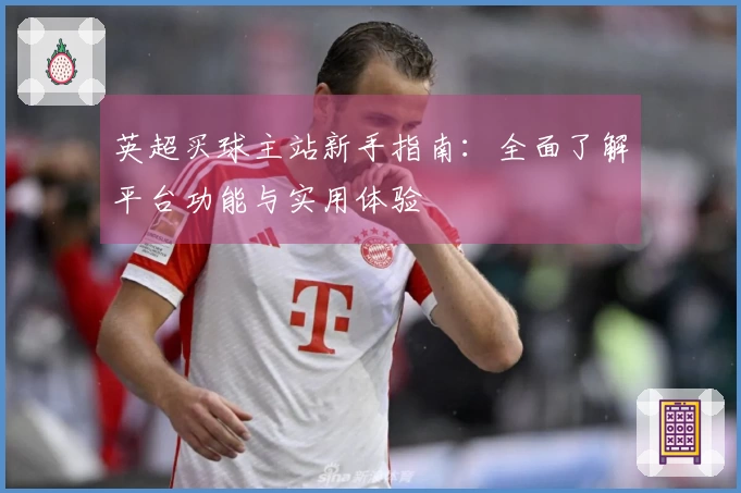 英超买球主站新手指南:全面了解平台功能与实用体验