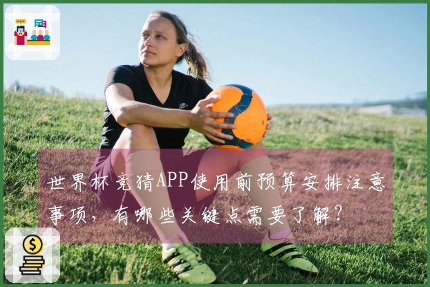 世界杯竞猜APP使用前预算安排注意事项，有哪些关键点需要了解？