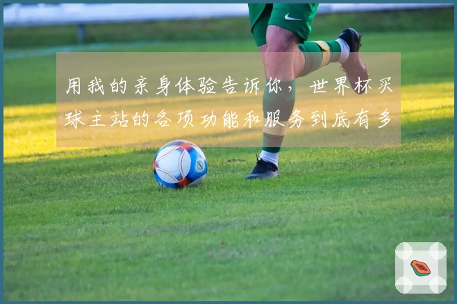 用我的亲身体验告诉你，世界杯买球主站的各项功能和服务到底有多棒