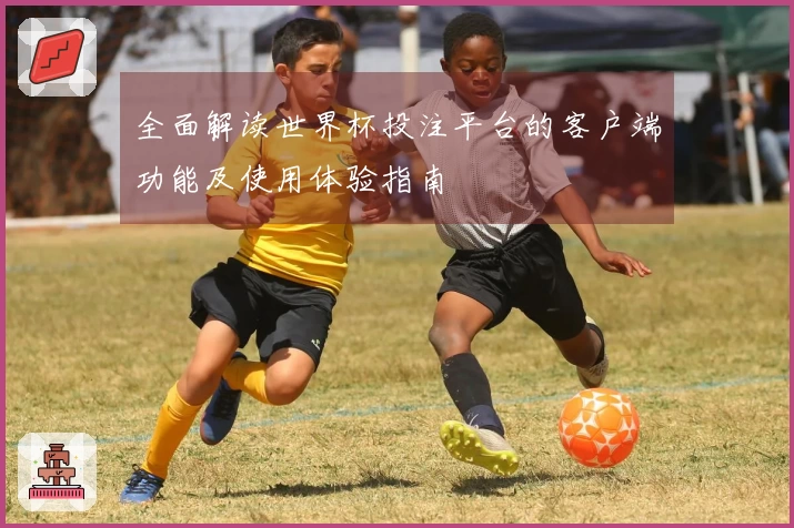 全面解读世界杯投注平台的客户端功能及使用体验指南
