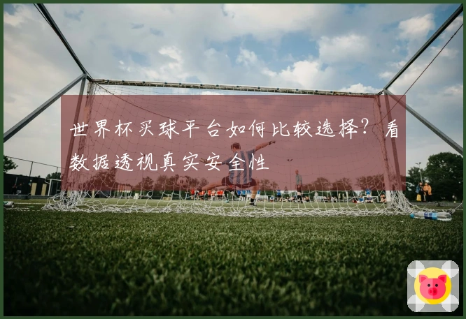 世界杯买球平台如何比较选择？看数据透视真实安全性