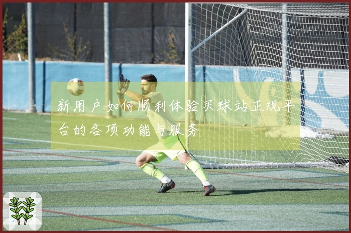 新用户如何顺利体验买球站正规平台的各项功能与服务